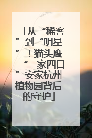 从“稀客”到“明星”！猫头鹰“一家四口”安家杭州植物园背后的守护